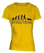Flat-Coated Retriever Evolution Ladies T-Shirt