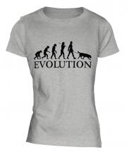Flat-Coated Retriever Evolution Ladies T-Shirt