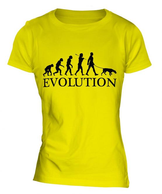 German Pinscher Evolution Ladies T-Shirt
