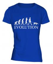 German Pinscher Evolution Ladies T-Shirt