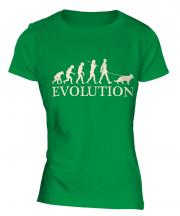 German Shepherd Evolution Ladies T-Shirt