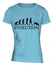 German Shorthaired Pointer Evolution Ladies T-Shirt