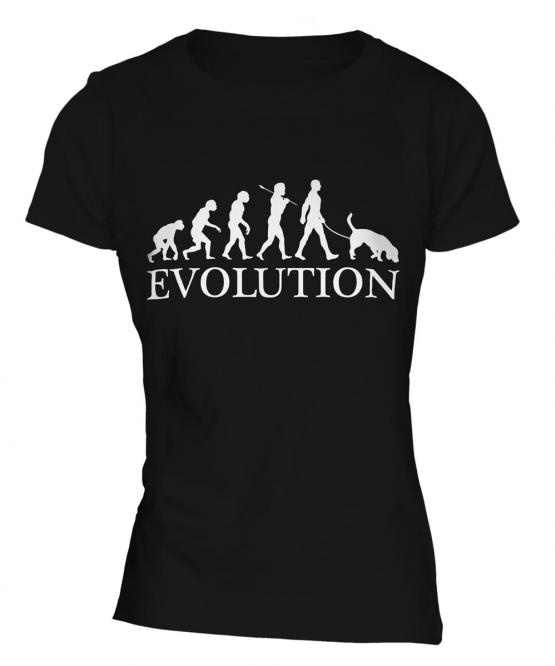 German Shorthaired Pointer Evolution Ladies T-Shirt