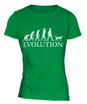 German Wirehaired Pointer Evolution Ladies T-Shirt