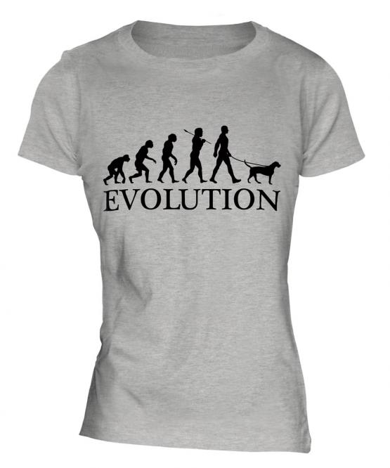 German Wirehaired Pointer Evolution Ladies T-Shirt