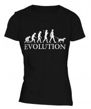 German Wirehaired Pointer Evolution Ladies T-Shirt