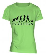 Glen Of Imaal Terrier Evolution Ladies T-Shirt