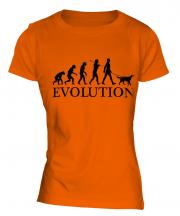 Gordon Setter Evolution Ladies T-Shirt