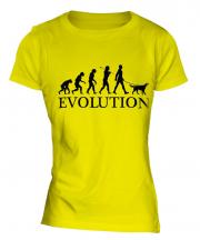 Gordon Setter Evolution Ladies T-Shirt