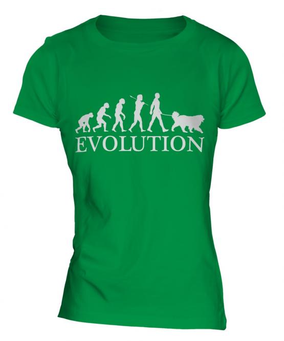 Great Pyrenees Evolution Ladies T-Shirt