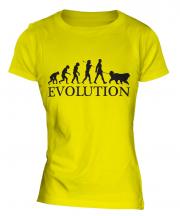 Great Pyrenees Evolution Ladies T-Shirt