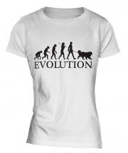 Great Pyrenees Evolution Ladies T-Shirt