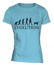 Greyhound Evolution Ladies T-Shirt