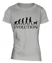 Ibizan Hound Evolution Ladies T-Shirt