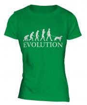 Irish Setter Evolution Ladies T-Shirt