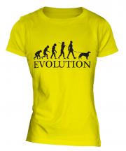 Irish Setter Evolution Ladies T-Shirt