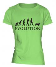 Irish Setter Evolution Ladies T-Shirt