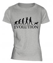 Irish Terrier Evolution Ladies T-Shirt