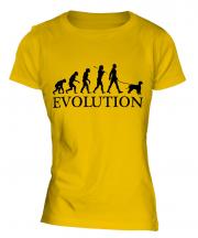 Irish Water Spaniel Evolution Ladies T-Shirt