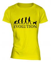 Irish Water Spaniel Evolution Ladies T-Shirt