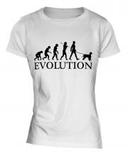 Irish Water Spaniel Evolution Ladies T-Shirt