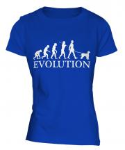 Irish Water Spaniel Evolution Ladies T-Shirt