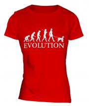 Irish Water Spaniel Evolution Ladies T-Shirt