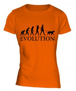 Irish Wolfhound Evolution Ladies T-Shirt