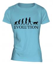 Irish Wolfhound Evolution Ladies T-Shirt