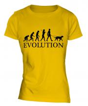 Irish Wolfhound Evolution Ladies T-Shirt