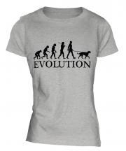 Irish Wolfhound Evolution Ladies T-Shirt