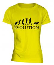 Irish Wolfhound Evolution Ladies T-Shirt