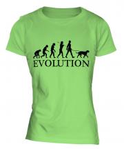 Irish Wolfhound Evolution Ladies T-Shirt