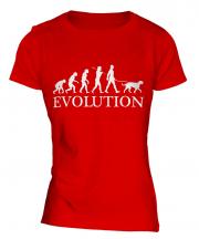 Irish Wolfhound Evolution Ladies T-Shirt
