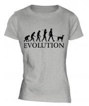 Italian Greyhound Evolution Ladies T-Shirt