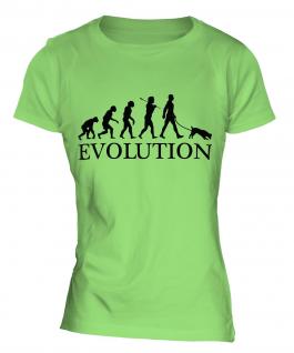 Jack Russell Terrier Evolution Ladies T-Shirt