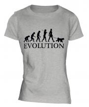 Kerry Blue Terrier Evolution Ladies T-Shirt