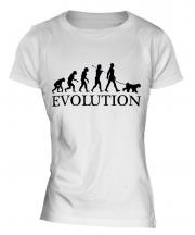 Kerry Blue Terrier Evolution Ladies T-Shirt