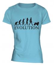 Komondor Evolution Ladies T-Shirt