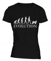 Komondor Evolution Ladies T-Shirt