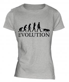 Labrador Retriever Evolution Ladies T-Shirt
