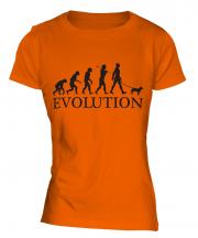 Miniature Bull Terrier Evolution Ladies T-Shirt