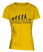 Miniature Bull Terrier Evolution Ladies T-Shirt