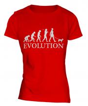 Miniature Bull Terrier Evolution Ladies T-Shirt