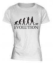 Miniature Pinscher Evolution Ladies T-Shirt