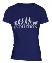 Old English Sheepdog Evolution Ladies T-Shirt