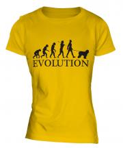 Old English Sheepdog Evolution Ladies T-Shirt