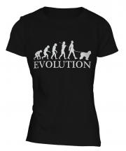 Old English Sheepdog Evolution Ladies T-Shirt