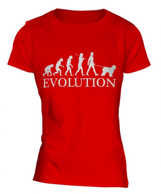 Old English Sheepdog Evolution Ladies T-Shirt