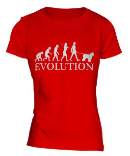Old English Sheepdog Evolution Ladies T-Shirt